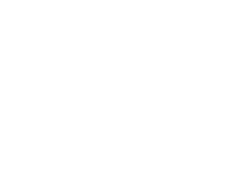 Pasoporte Gemba Blanco